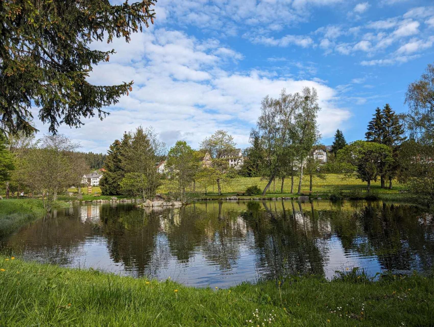 Ferienwohnung Schoene Wohnung 2D-Gebaeude Mit Mini-Garten Schönwalde Buitenkant foto